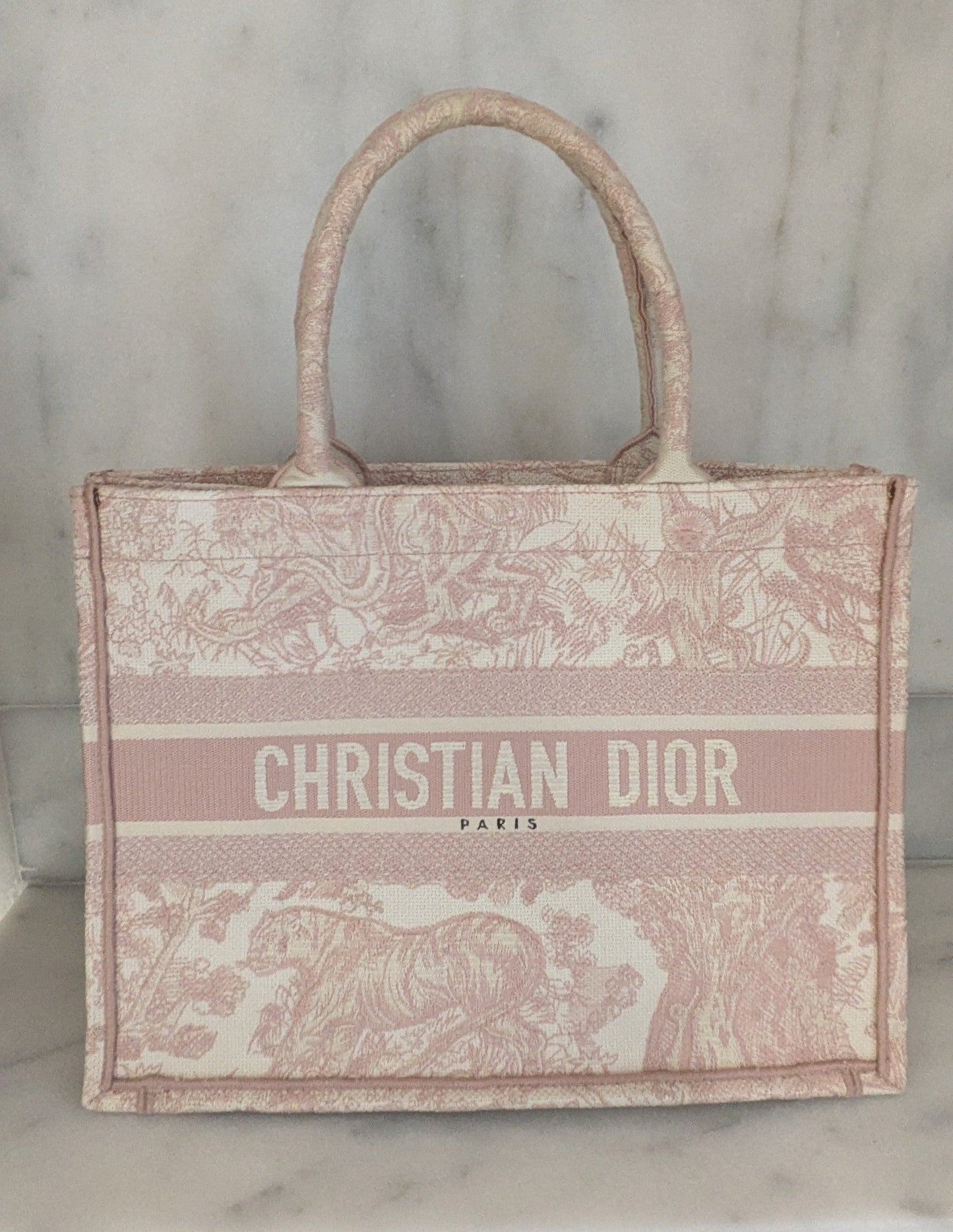 Dior book tote bag