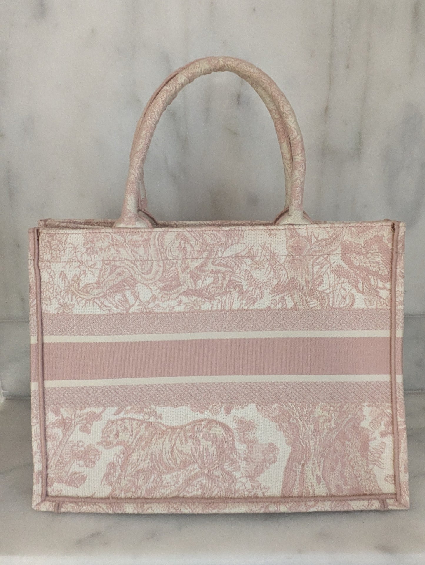 Dior book tote bag