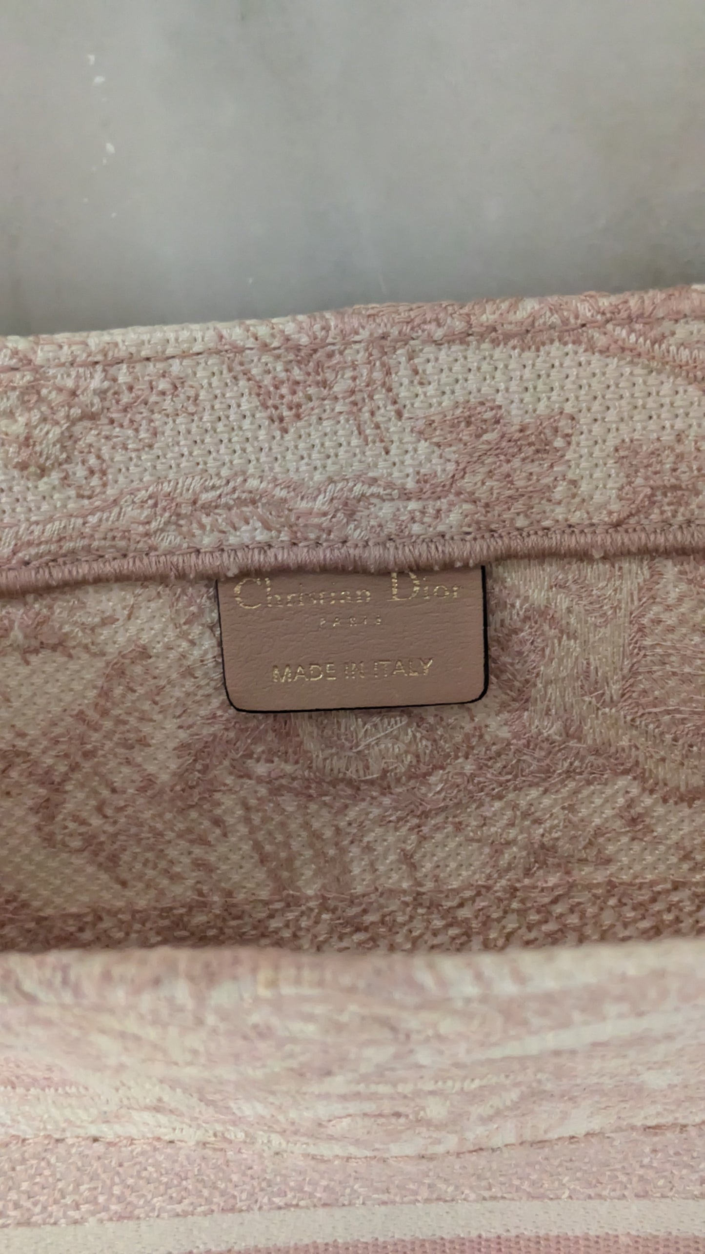 Dior book tote bag